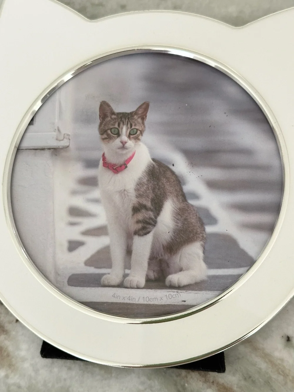 White Cat-Shaped Photo Frame for Pets